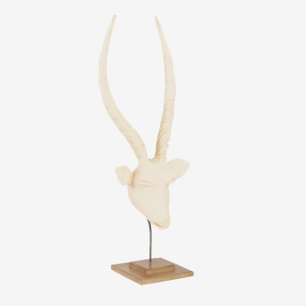 Swazi Springbok Head