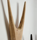 Bush Buck Head