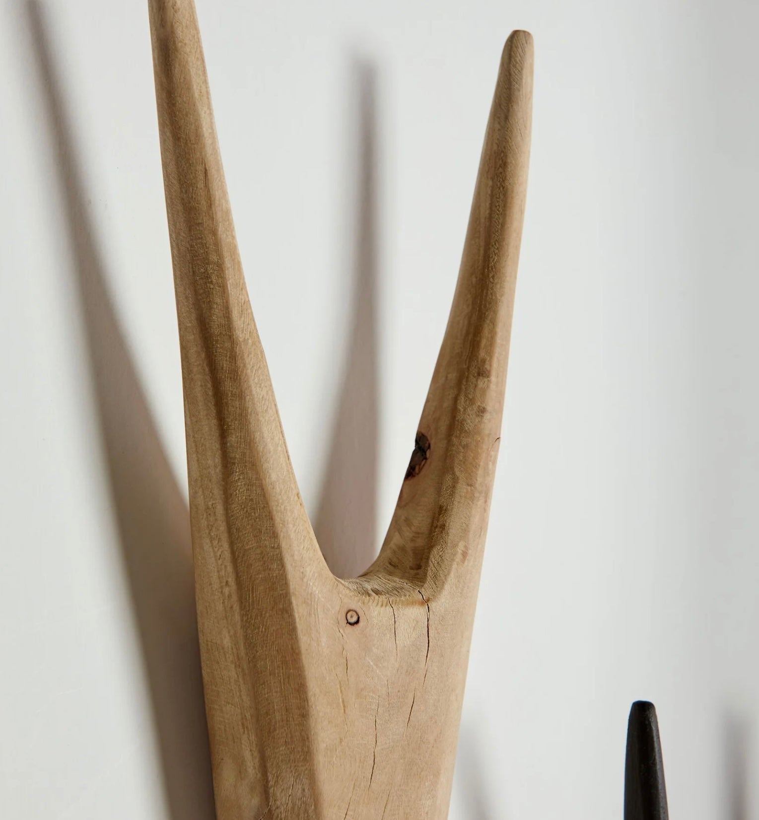 Bush Buck Head