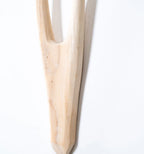 Bush Buck Head