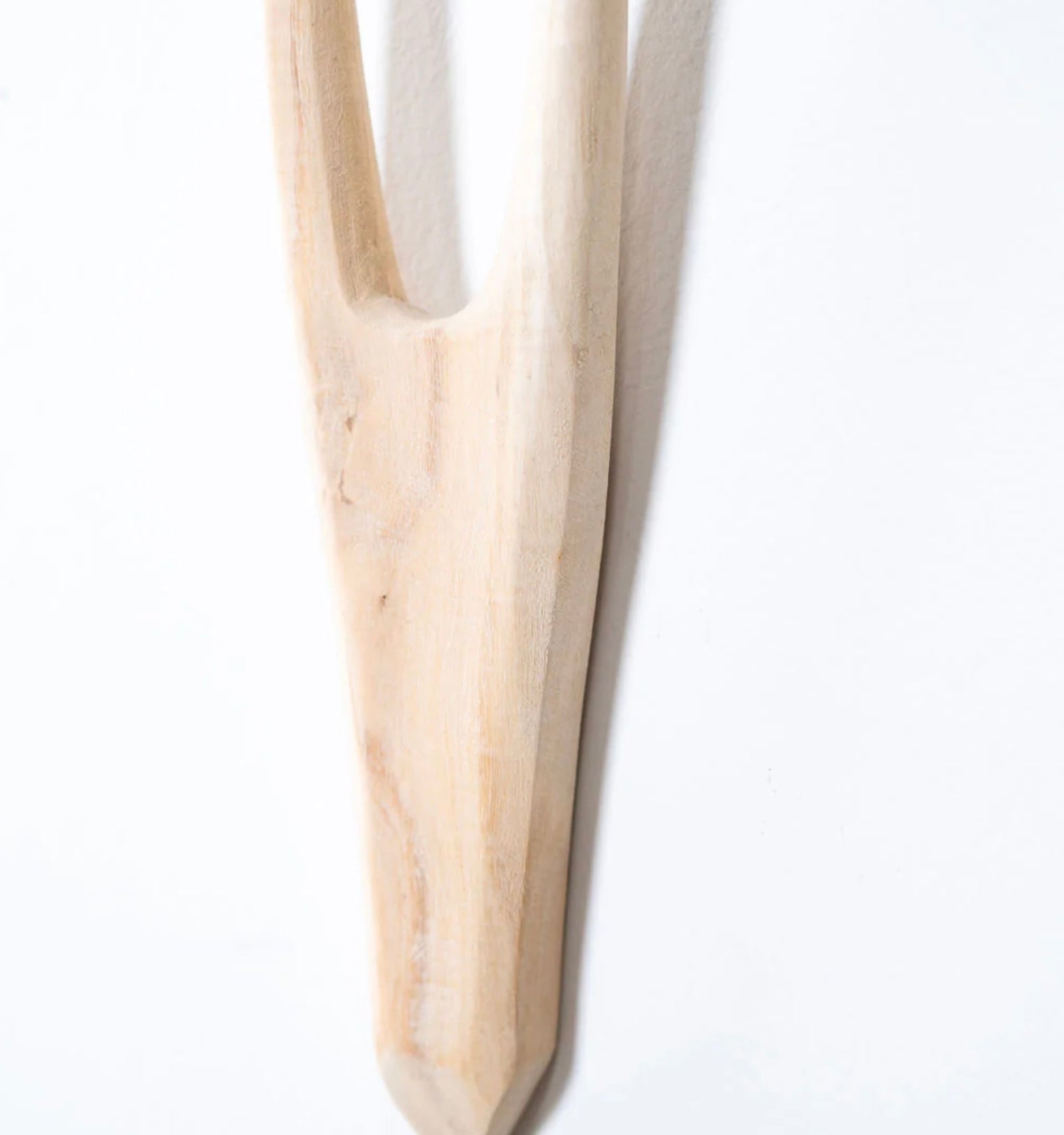 Bush Buck Head